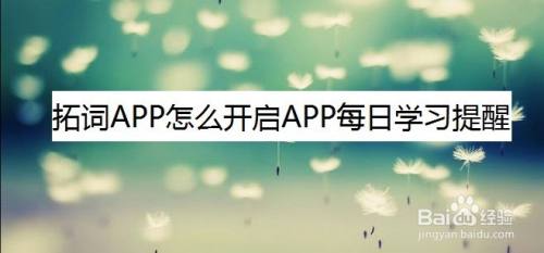 拓词APP怎么开启APP每日学习提醒