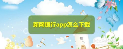 新网银行app怎么下载,农行app下载手机银行（工商银行个人手机银行app下载）